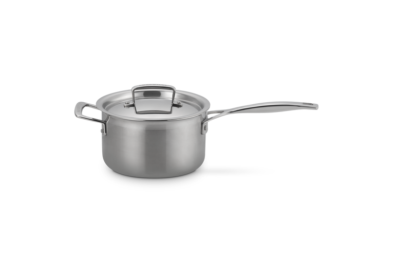 Steelpan in RVS met Deksel en Extra Handvat