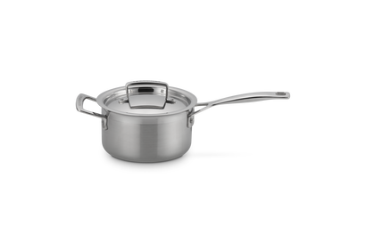 Steelpan in RVS met Deksel en Extra Handvat
