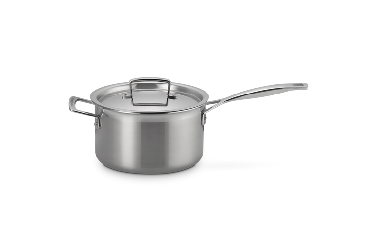 Steelpan in RVS met Deksel en Extra Handvat