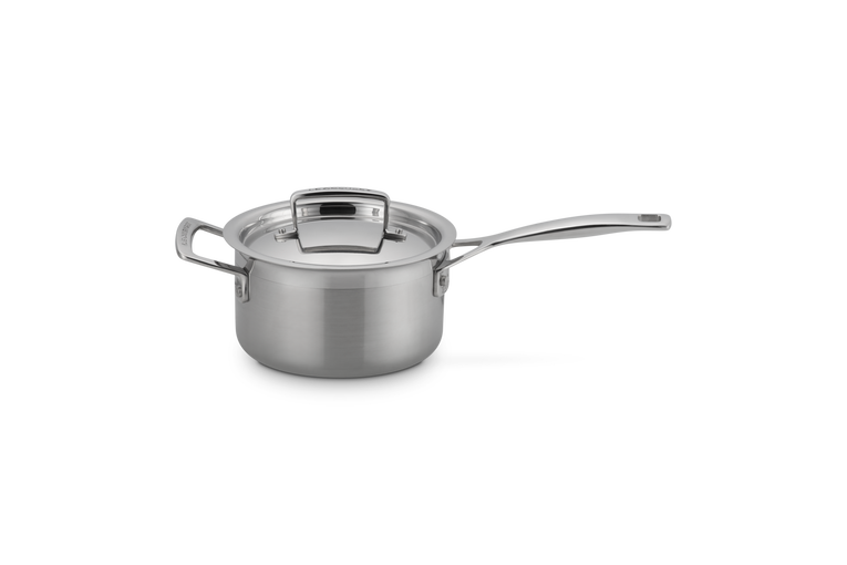 Steelpan in RVS met Deksel en Extra Handvat
