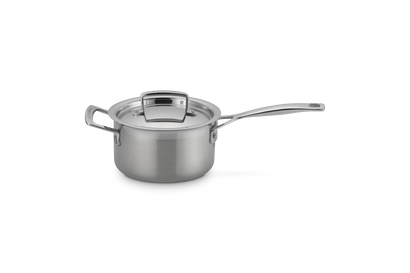 Steelpan in RVS met Deksel en Extra Handvat